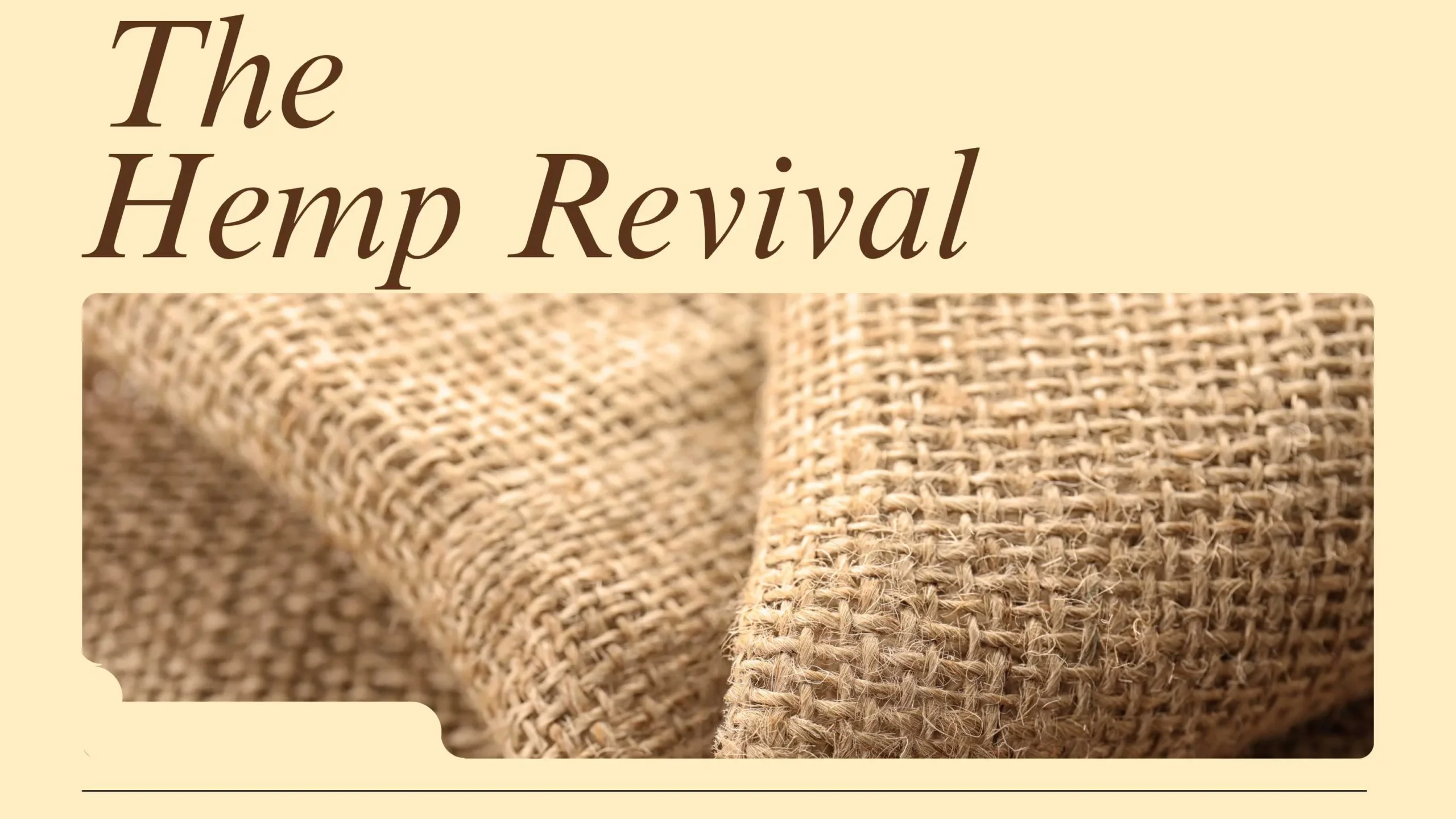 Why Hemp Fabric Is the Future of Sustainable Fashion